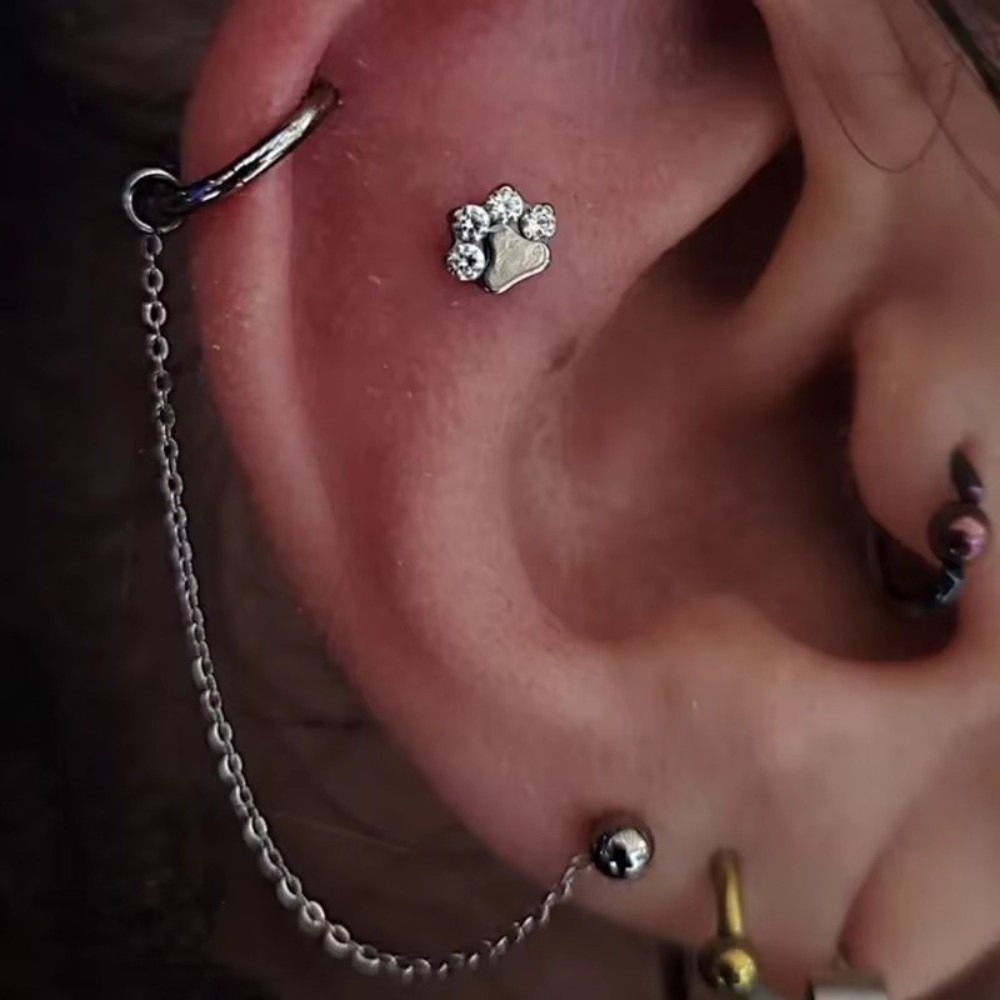Titanium Nose Chain Three Laye - Body Jewelry Ear Piercing review and price